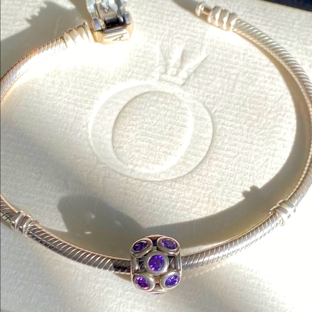 Purple Pandora Spacer Charm